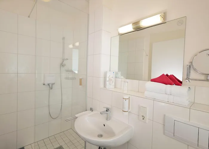 Moseldomizil 酒店 3*